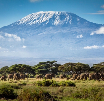 10 Days 9 Nights climb Mount Kilimanjaro, Machame Trek Route Hiking Safari Tour | Mt Kilimanjaro Climbing, Trekking and Hiking Tours | 10-Days and 9 nights Mount Kilimanjaro Climbing | Mount Kilimanjaro Hiking Safaris Tanzania